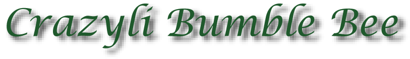 Crazyli Bumble Bee