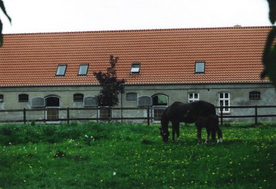 Hof-Ansicht