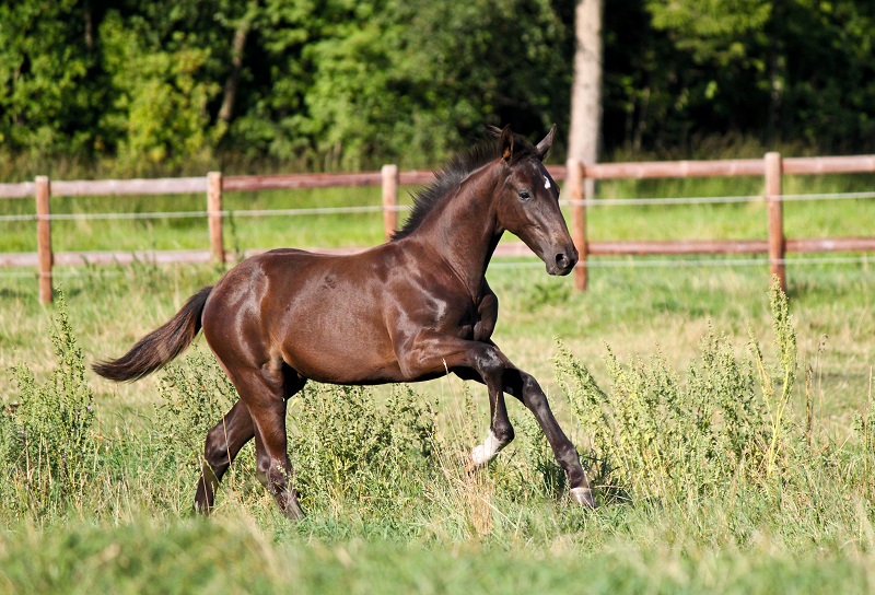 Video vom 05.09.2013