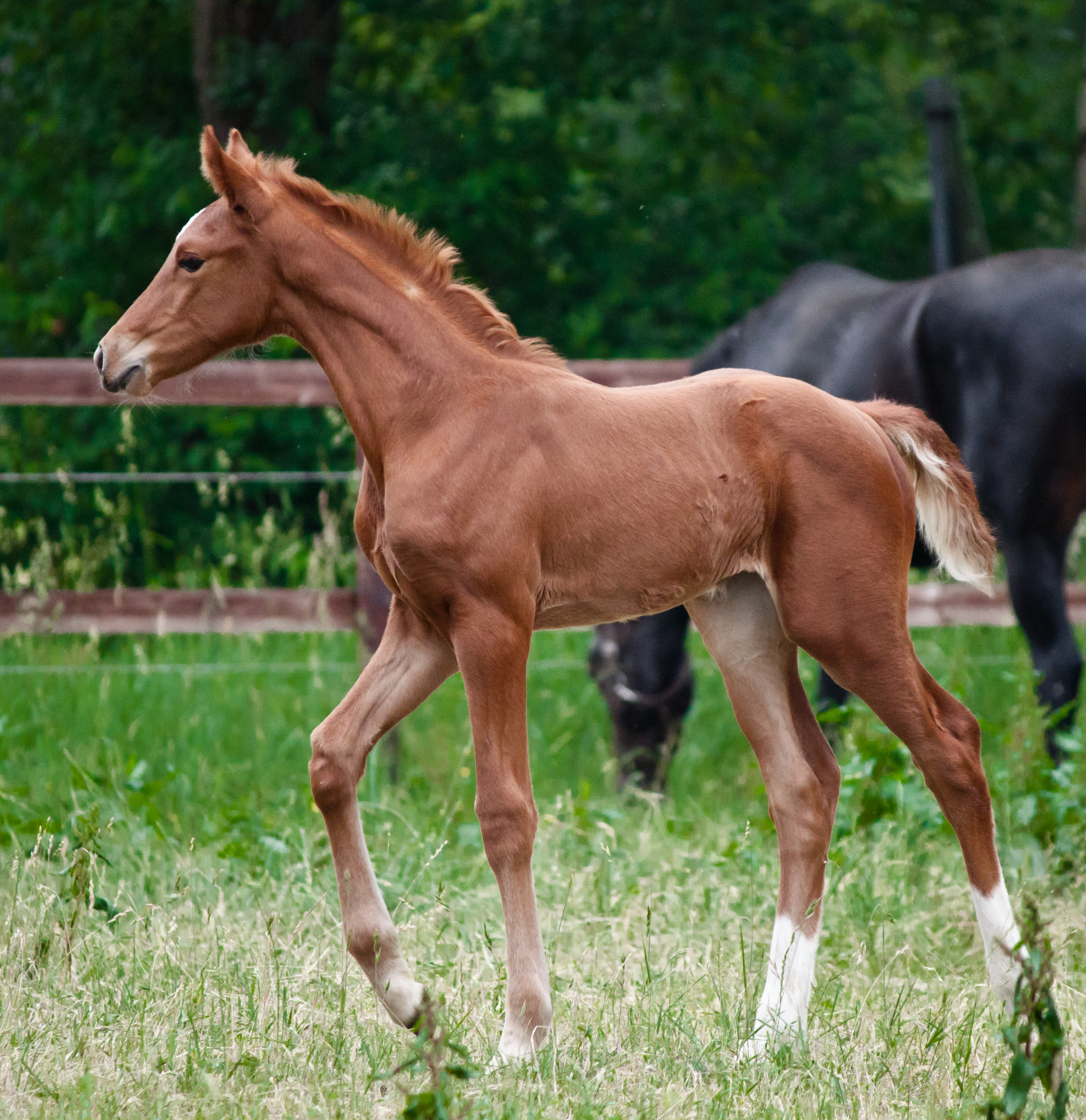 Fantastic Compliment